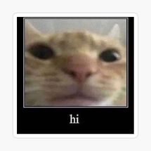 Blurred Hi Cat meme template