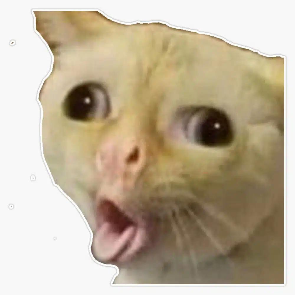 Cat Tongue Out
