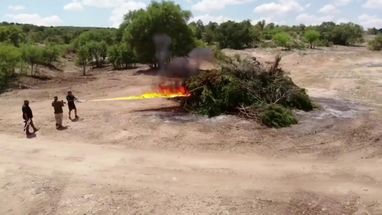 Blurred kill it with fire meme template