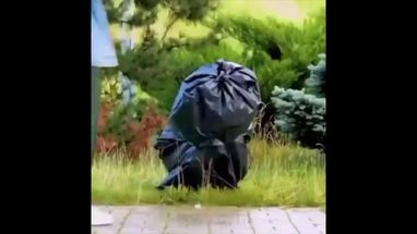 Blurred Walking Garbage meme template