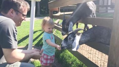 Blurred Baby and goat meme template