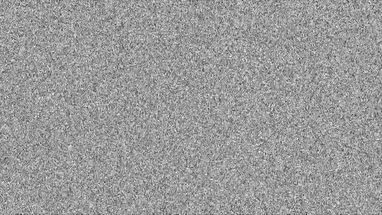 Blurred Whale Dance meme template