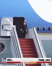 Blurred biden noooooo meme template