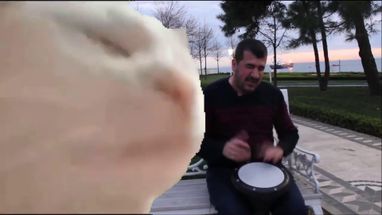 Blurred Ievan Polkka Vibing meme template