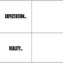 Blurred Expectation vs Reality meme template
