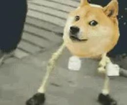 Blurred DOge gud boi gif meme template