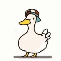 Blurred shuba duck meme template