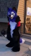 Blurred SonicFox Fortnite Dance furry meme template