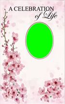 Blurred a celebration of life meme template