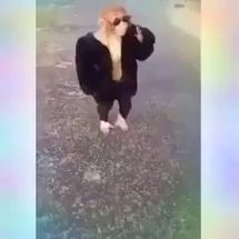 Blurred Swagger Monkey meme template