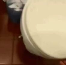 Blurred rat toilet meme template