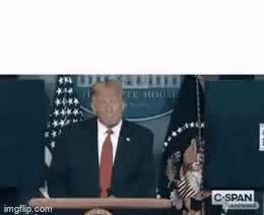 Blurred funny trump gif meme template
