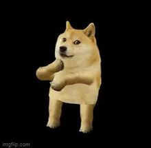 Blurred Dancing doggo meme template