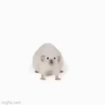 Blurred mhmm yes squishy rat meme template