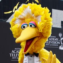 Big Bird meme