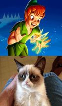 Blurred Grumpy Cat Does Not Believe meme template