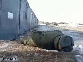 Blurred Russian Pushup Gif meme template