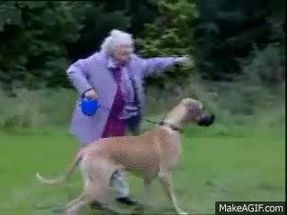 Blurred Grandma dragged off by her dog meme template