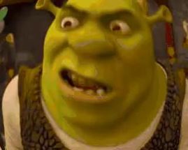 Blurred Do The Roar meme template