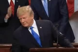 Blurred Donald Trump cheers gif meme template