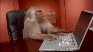Blurred Monkey dispair gif meme template