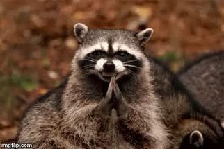 Blurred Evil Plotting Raccoon meme template