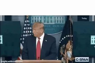Blurred Trump goes fast filler meme template