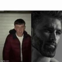 Blurred average fan vs enjoyer meme template