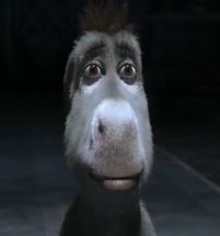Blurred Donkey Staring Side View meme template