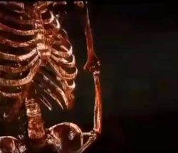 Blurred The terminator wins meme template