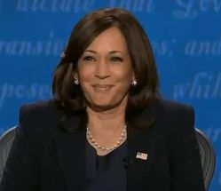 Blurred kamala harris meme template