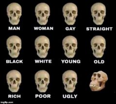 idiot skull meme