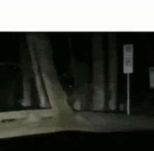 Blurred Dudes walking confidently through a forest at night meme template