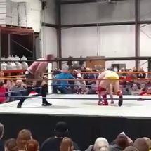 Blurred Stunner meme template