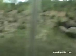 Blurred Gorilla Run meme template