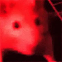 Blurred Rat jam meme template