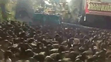 Blurred Duck Stampede meme template