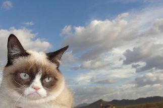 Grumpy Cat Sky meme