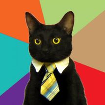 Business Cat meme