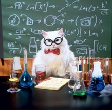 Chemistry Cat meme