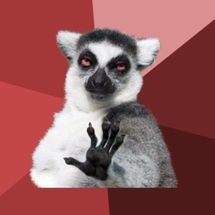 Chill Out Lemur meme