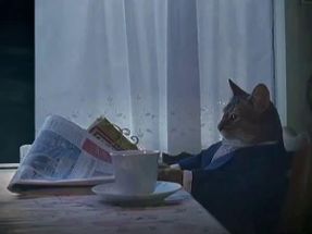 Blurred Business Cat Titanic meme template