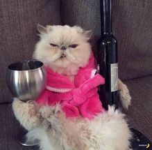 Blurred Happy Friday meme template