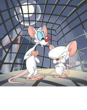 Pinky and the brain meme