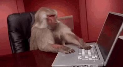 Blurred monkey laptop meme template