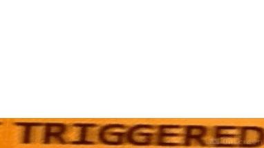 Blurred Triggered meme template
