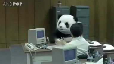 Blurred Panda Cheese Destroy Computers meme template