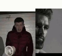 Blurred Fan vs enjoyer meme template