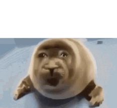 Blurred crying seal meme template