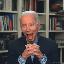 Blurred Biden Licking meme template